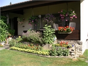 Walter 08.07.08-02.01.200902